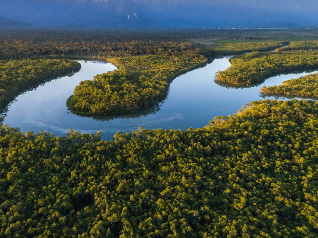 Brasile: Ecoturismo nella foresta atlantica — fauna, percorsi e comunità locali